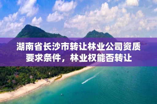 湖南省长沙市转让林业公司资质要求条件，林业权能否转让