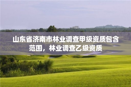 山东省济南市林业调查甲级资质包含范围，林业调查乙级资质