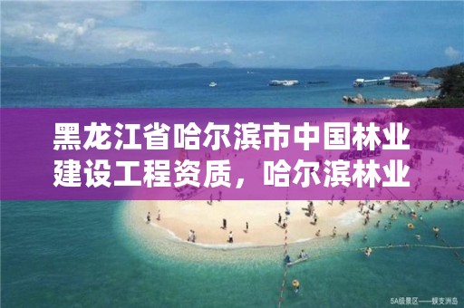 黑龙江省哈尔滨市中国林业建设工程资质，哈尔滨林业总局地址