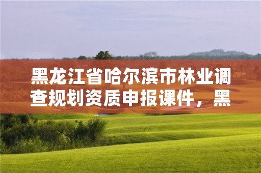 黑龙江省哈尔滨市林业调查规划资质申报课件，黑龙江省林业调查设计研究院