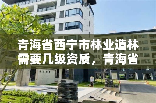 青海省西宁市林业造林需要几级资质，青海省西宁市林业造林需要几级资质