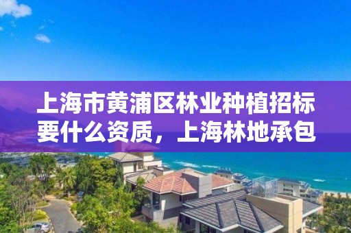 上海市黄浦区林业种植招标要什么资质，上海林地承包