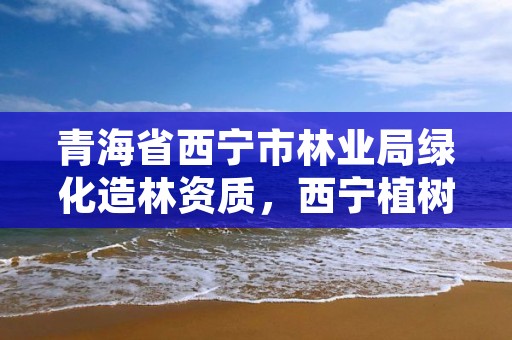 青海省西宁市林业局绿化造林资质，西宁植树造林