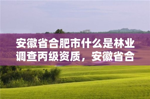 安徽省合肥市什么是林业调查丙级资质，安徽省合肥市什么是林业调查丙级资质的单位