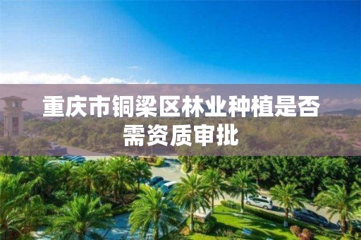 重庆市铜梁区林业种植是否需资质审批