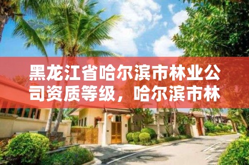 黑龙江省哈尔滨市林业公司资质等级，哈尔滨市林业局直属林场