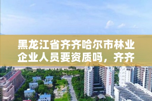 黑龙江省齐齐哈尔市林业企业人员要资质吗，齐齐哈尔林业局