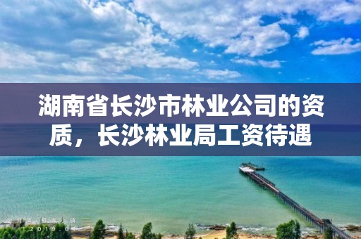 湖南省长沙市林业公司的资质，长沙林业局工资待遇