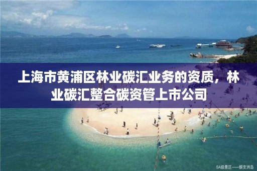 上海市黄浦区林业碳汇业务的资质，林业碳汇整合碳资管上市公司