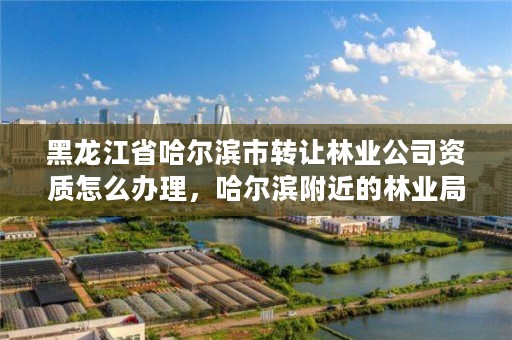 黑龙江省哈尔滨市转让林业公司资质怎么办理，哈尔滨附近的林业局