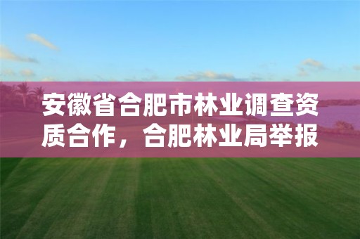 安徽省合肥市林业调查资质合作，合肥林业局举报电话是多少