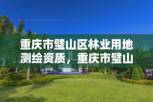 重庆市璧山区林业用地测绘资质，重庆市璧山区林业用地测绘资质办理