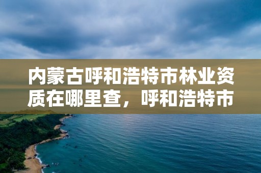 内蒙古呼和浩特市林业资质在哪里查，呼和浩特市林业局局长是谁