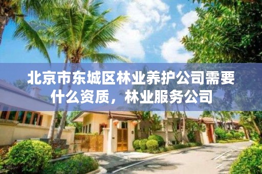 北京市东城区林业养护公司需要什么资质，林业服务公司