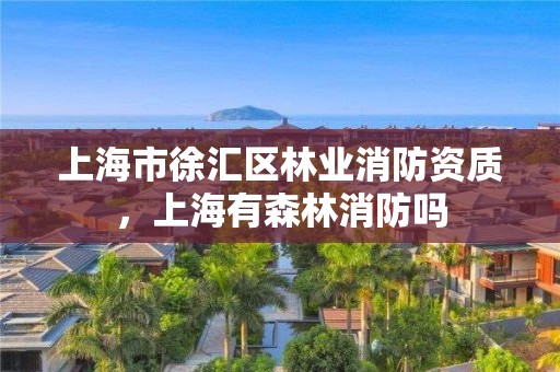 上海市徐汇区林业消防资质，上海有森林消防吗