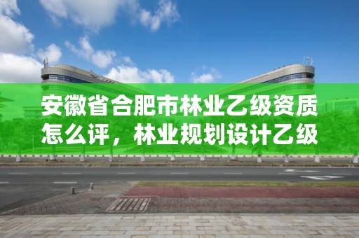 安徽省合肥市林业乙级资质怎么评，林业规划设计乙级资质