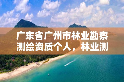 广东省广州市林业勘察测绘资质个人，林业测绘资质哪里办理