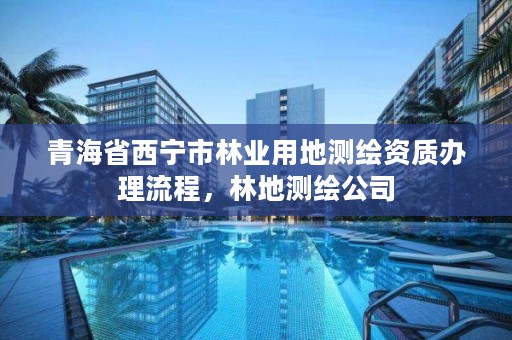 青海省西宁市林业用地测绘资质办理流程，林地测绘公司