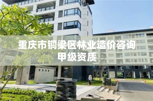 重庆市铜梁区林业造价咨询甲级资质