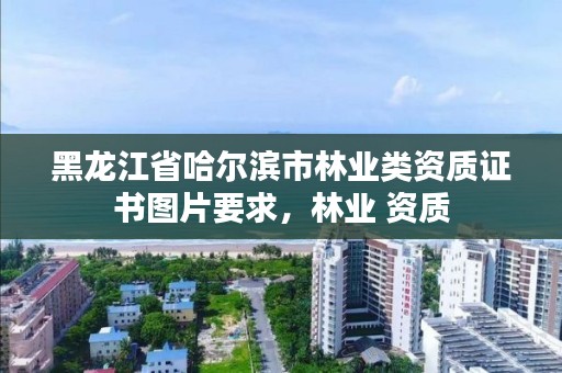 黑龙江省哈尔滨市林业类资质证书图片要求，林业 资质