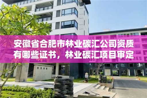 安徽省合肥市林业碳汇公司资质有哪些证书，林业碳汇项目审定和核证指南