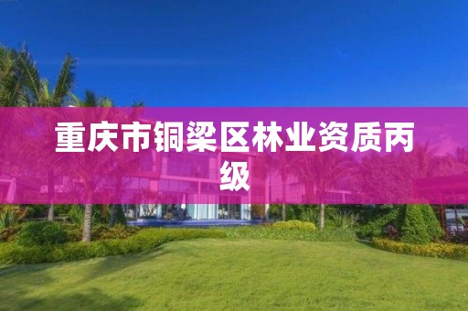 重庆市铜梁区林业资质丙级