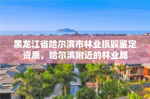 黑龙江省哈尔滨市林业损毁鉴定资质，哈尔滨附近的林业局