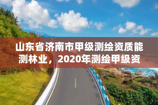 山东省济南市甲级测绘资质能测林业，2020年测绘甲级资质条件