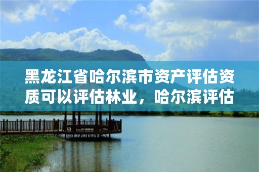 黑龙江省哈尔滨市资产评估资质可以评估林业，哈尔滨评估公司评估收费标准