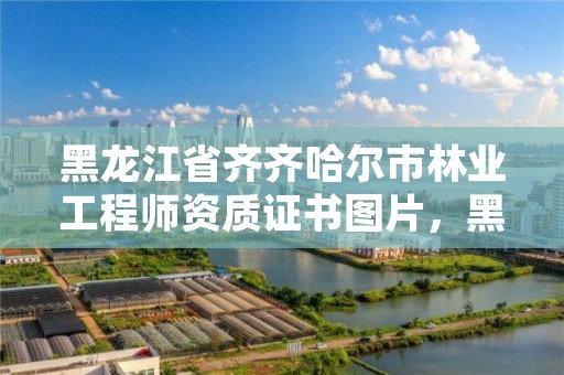 黑龙江省齐齐哈尔市林业工程师资质证书图片，黑龙江林业工程职称评审