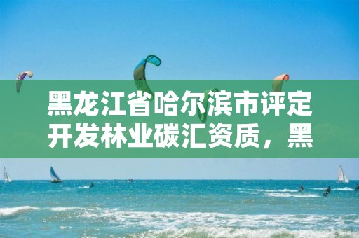 黑龙江省哈尔滨市评定开发林业碳汇资质，黑龙江省林业碳汇发展规划