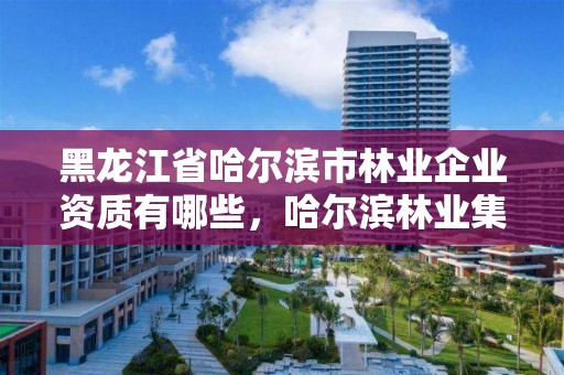 黑龙江省哈尔滨市林业企业资质有哪些，哈尔滨林业集团