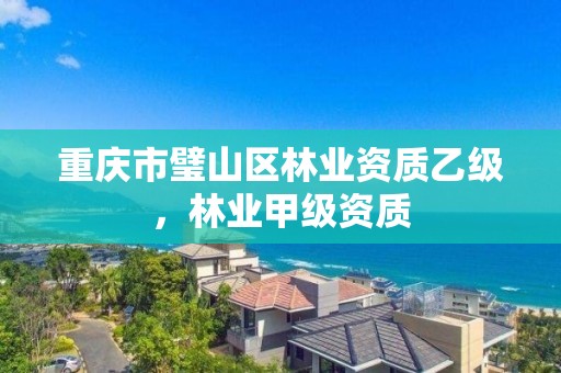 重庆市璧山区林业资质乙级，林业甲级资质