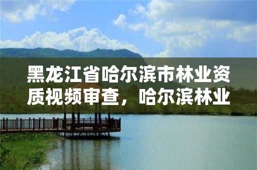 黑龙江省哈尔滨市林业资质视频审查，哈尔滨林业调查规划有限公司