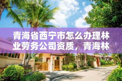 青海省西宁市怎么办理林业劳务公司资质，青海林草局招聘