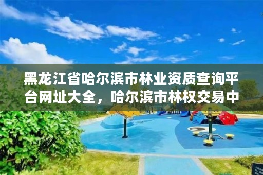 黑龙江省哈尔滨市林业资质查询平台网址大全，哈尔滨市林权交易中心