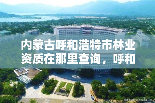 内蒙古呼和浩特市林业资质在那里查询，呼和浩特市林业局局长是谁