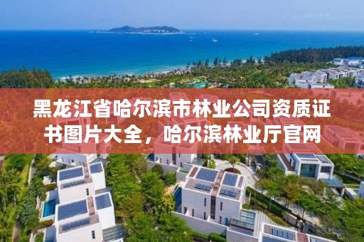 黑龙江省哈尔滨市林业公司资质证书图片大全，哈尔滨林业厅官网