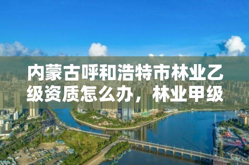 内蒙古呼和浩特市林业乙级资质怎么办，林业甲级资质