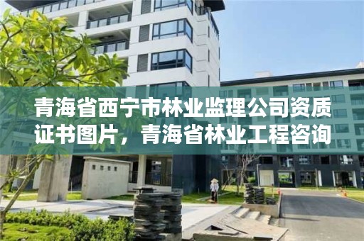 青海省西宁市林业监理公司资质证书图片，青海省林业工程咨询有限公司