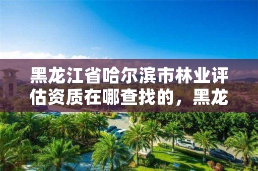 黑龙江省哈尔滨市林业评估资质在哪查找的，黑龙江省哈尔滨市林业局官网