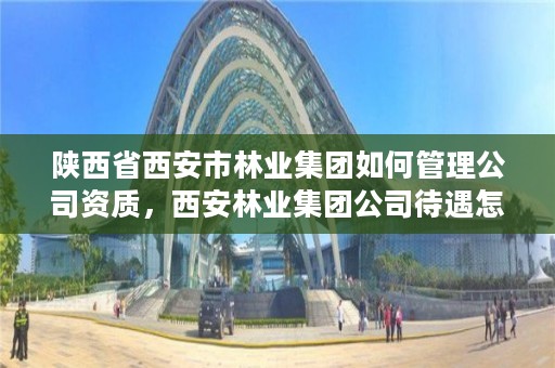 陕西省西安市林业集团如何管理公司资质，西安林业集团公司待遇怎么样