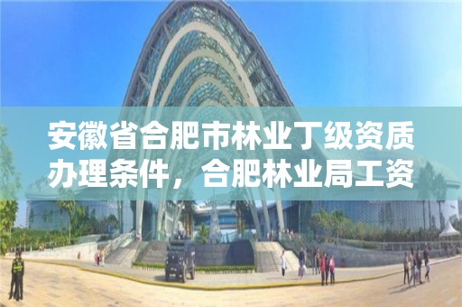 安徽省合肥市林业丁级资质办理条件，合肥林业局工资待遇