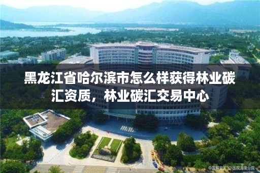 黑龙江省哈尔滨市怎么样获得林业碳汇资质，林业碳汇交易中心