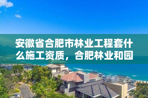 安徽省合肥市林业工程套什么施工资质，合肥林业和园林局招聘