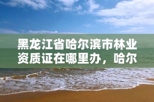 黑龙江省哈尔滨市林业资质证在哪里办，哈尔滨市林权交易中心