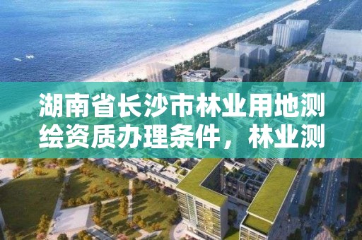 湖南省长沙市林业用地测绘资质办理条件，林业测绘资质哪里办理