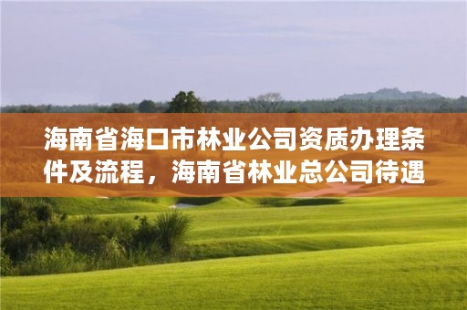 海南省海口市林业公司资质办理条件及流程，海南省林业总公司待遇