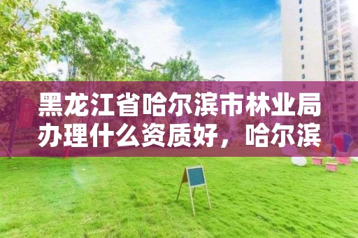 黑龙江省哈尔滨市林业局办理什么资质好，哈尔滨林业部门电话