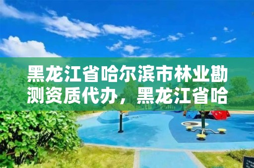 黑龙江省哈尔滨市林业勘测资质代办，黑龙江省哈尔滨市林业局官网